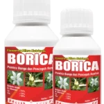 BORICA - 100ML