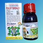 FAST DOWN 300EC